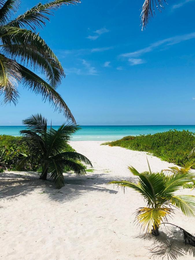 Apartmán Cabana Tortuga A Unos Pasos De La Playa El Cuyo Exteriér fotografie